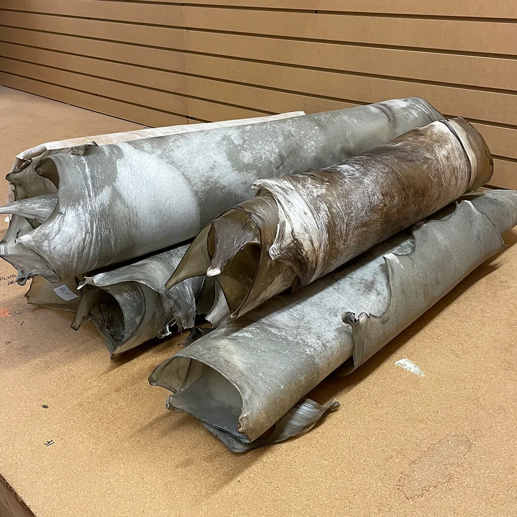 1/2 Bison Rawhide