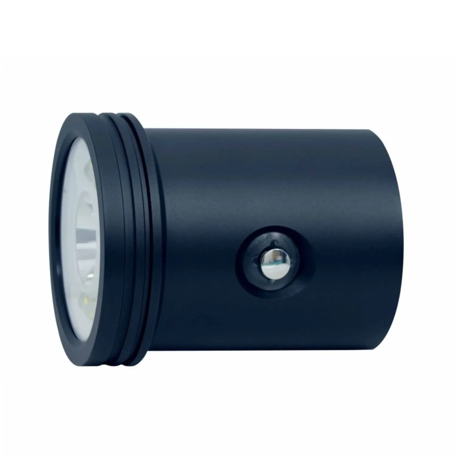 BigBlue Light Head for VTL10000P