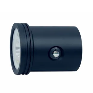 BigBlue Light Head for VTL10000P