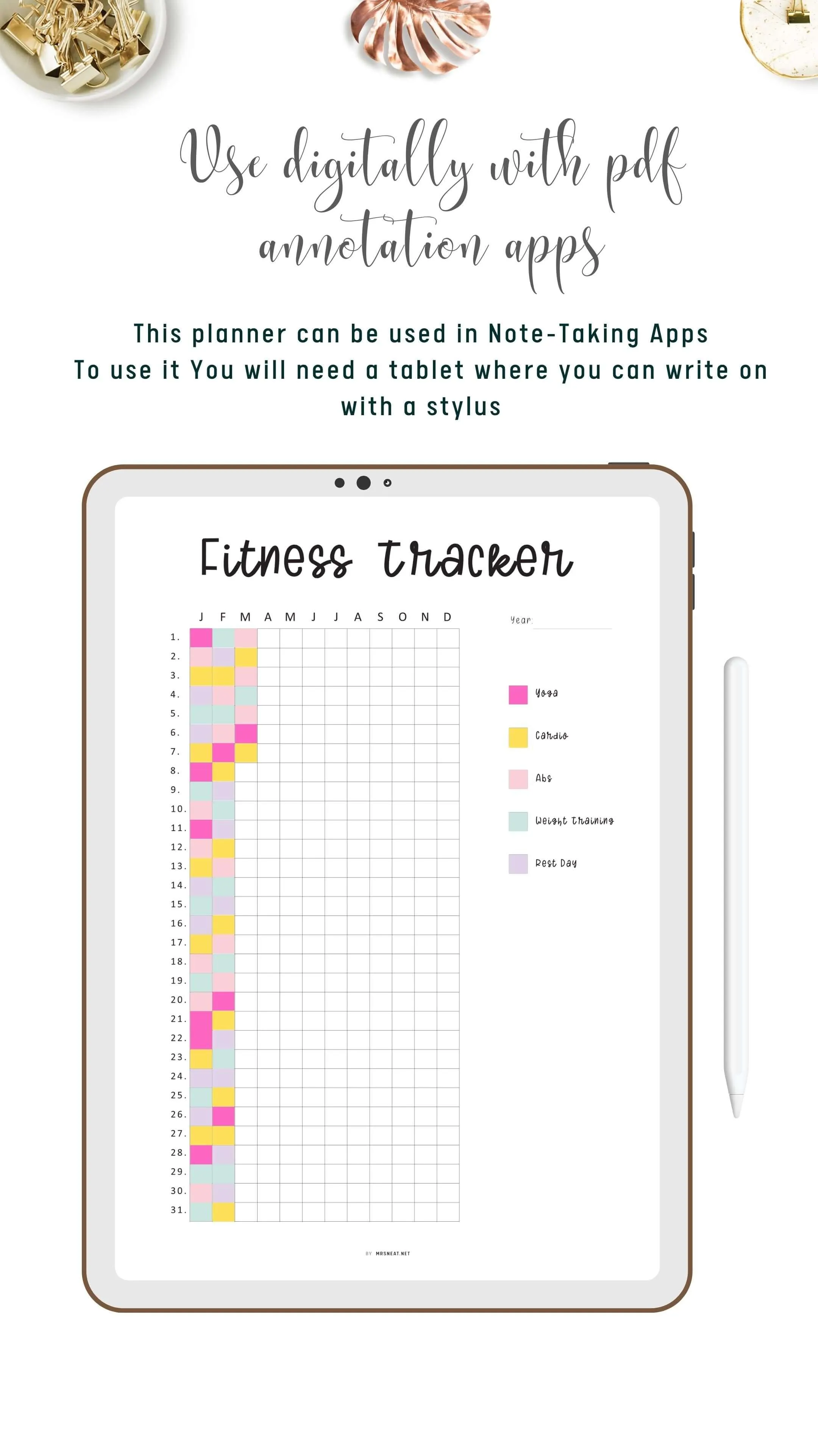 One Year Fitness Tracker Template - M348