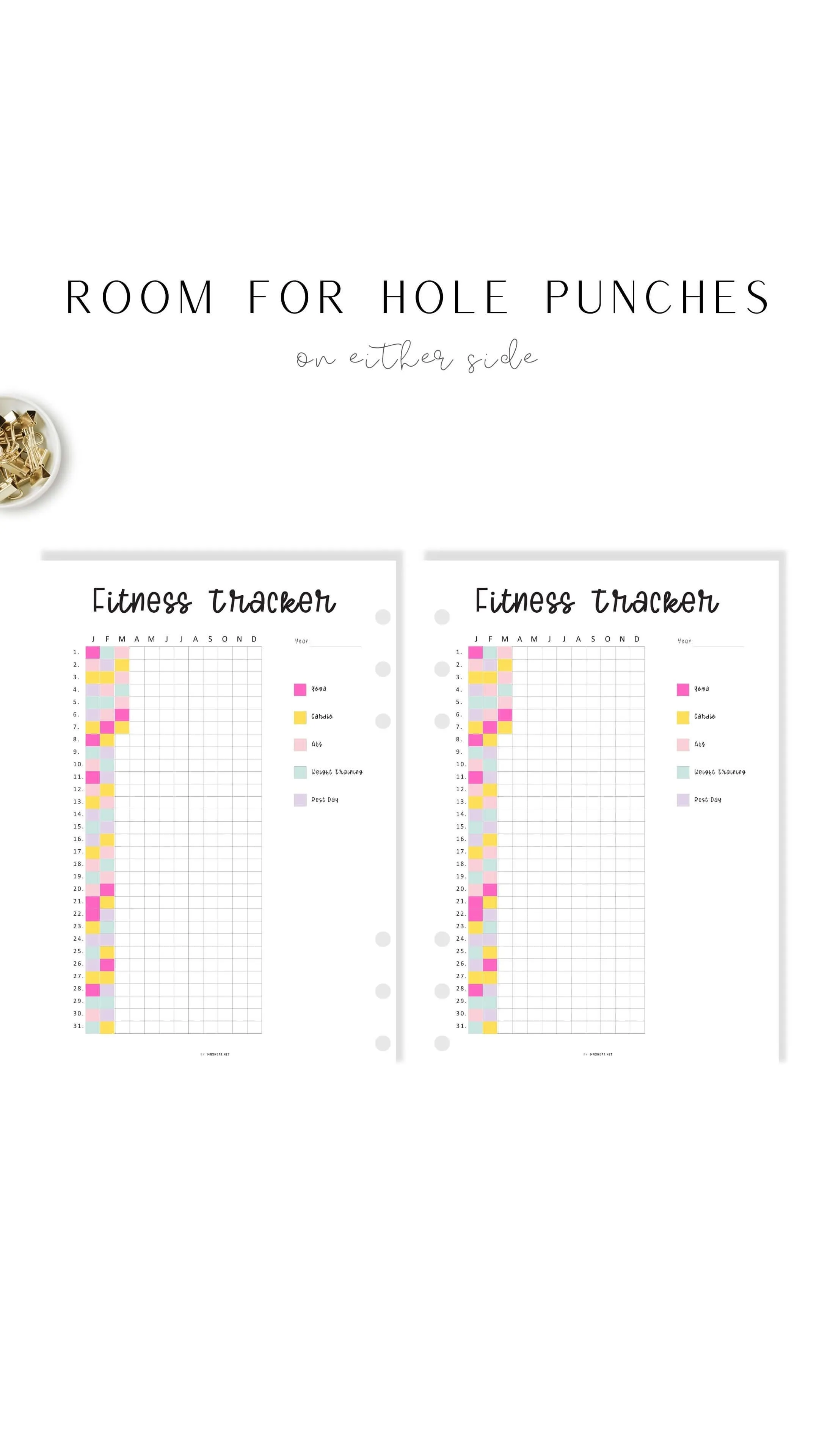 One Year Fitness Tracker Template - M348