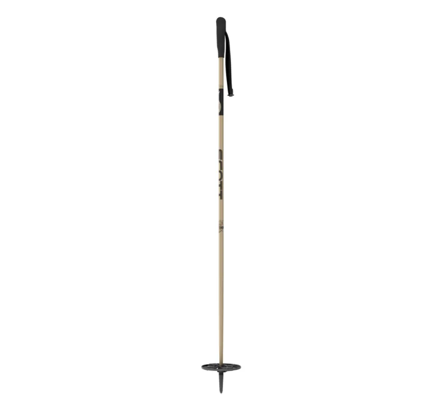 Origin Ski Poles
