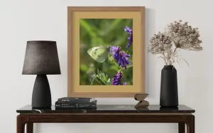 Photograph (2 Sizes Available ) Yellow Sulphur 1