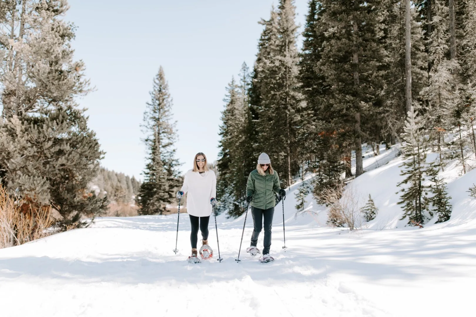 Wayfinder Snowshoes (Women's)